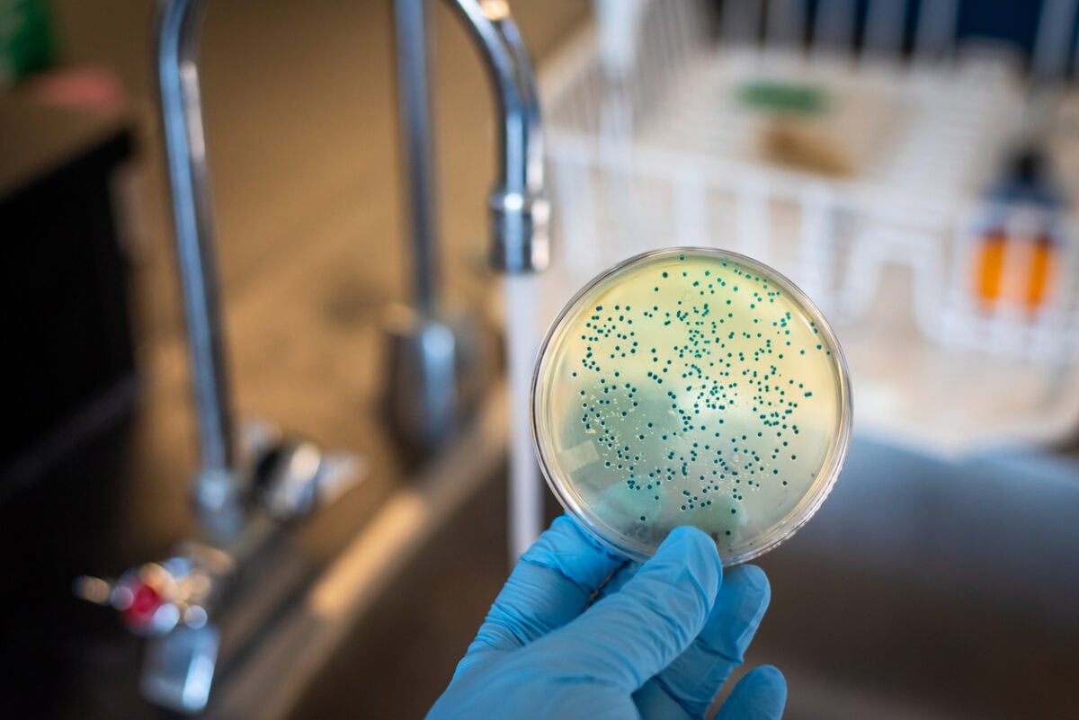 Water Coliform Bacteria Detection